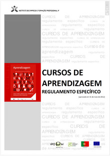 Formação de Formadores - CCP - Regulamento de Cursos de Aprendizagem